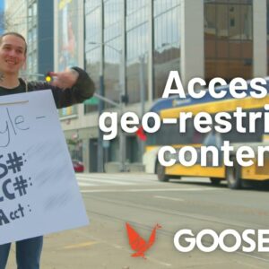 GOOSE VPN (SHORT) 16x9 V3
