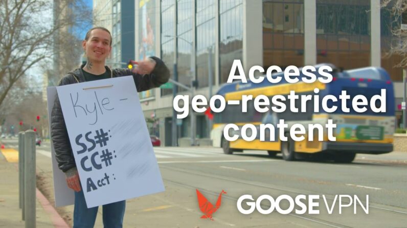GOOSE VPN (SHORT) 16x9 V3